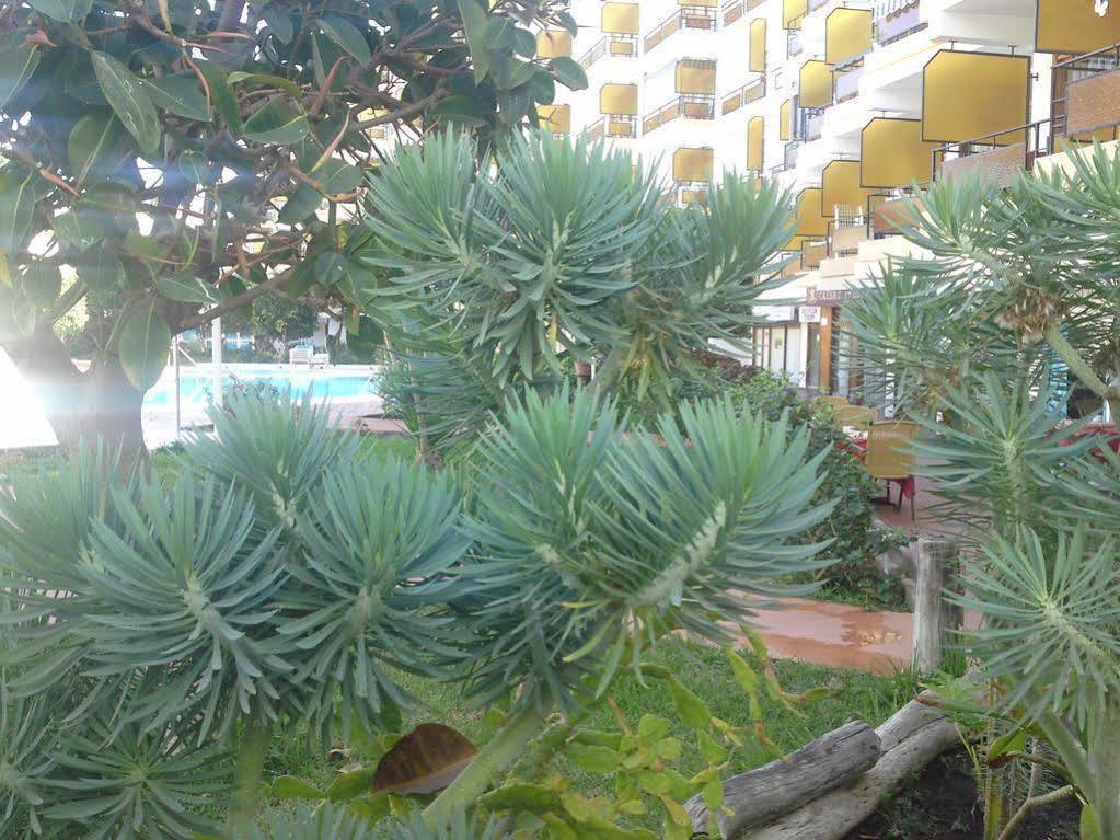 פלאייה דל אינגלז Apartamentos Europa מראה חיצוני תמונה